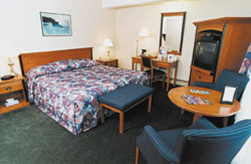 Hotel Travelodge By Wyndham At The Falls 3*